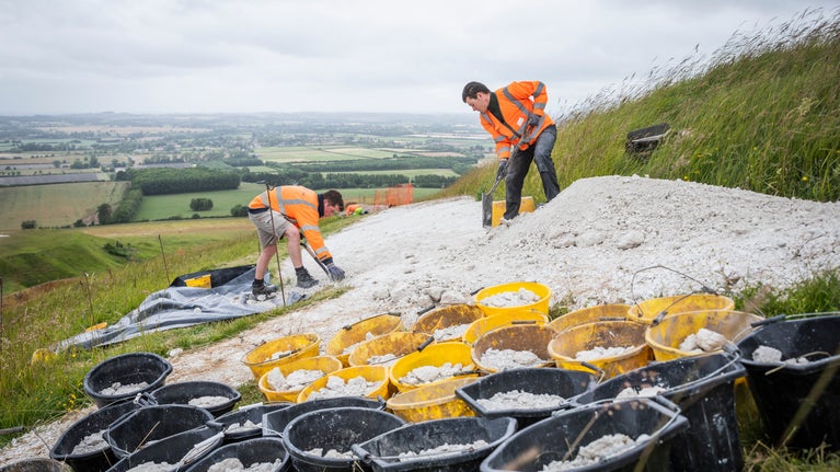 Archaeologists at work widening the Uffington White Horse figure